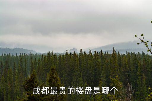 成都最貴的樓盤是哪個