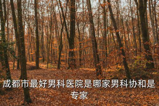 成都市最好男科醫(yī)院是哪家男科協(xié)和是專家