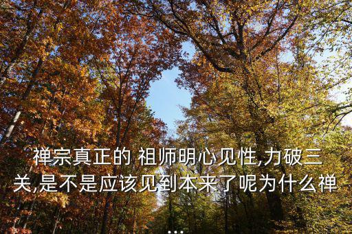  禪宗真正的 祖師明心見性,力破三關,是不是應該見到本來了呢為什么禪...