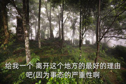 給我一個 離開這個地方的最好的理由吧(因為事態的嚴重性啊