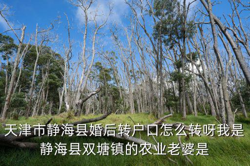 天津市靜?？h婚后轉戶口怎么轉呀我是靜?？h雙塘鎮的農業老婆是