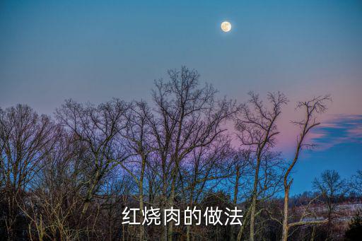 怎樣做紅燒肉,五花肉切成麻將牌放入鍋里翻炒幾下