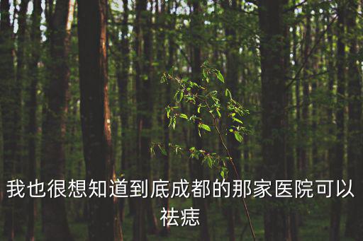 我也很想知道到底成都的那家醫(yī)院可以祛痣