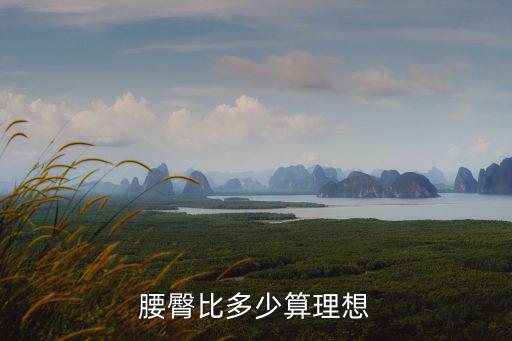 臀腰比,腰臀比測量方法:先量出肚臍處再量腰圍