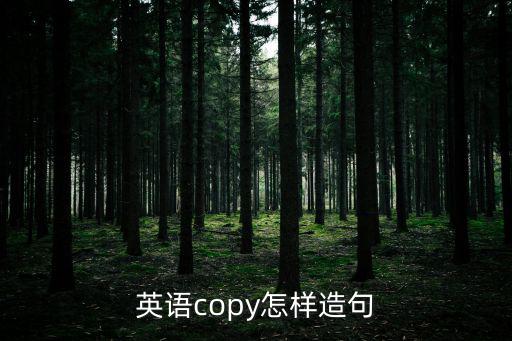 英語copy怎樣造句