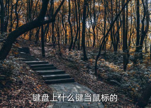 鍵盤鼠標，鍵盤上什么鍵當鼠標的