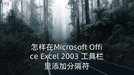 怎樣在Microsoft Office Excel 2003 工具欄里添加分隔符