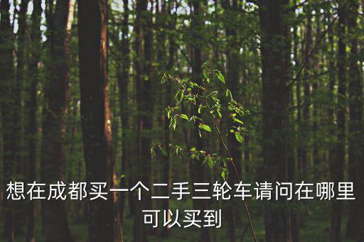 想在成都買一個(gè)二手三輪車請(qǐng)問在哪里可以買到