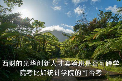 西財的光華創新人才實驗班是否可跨學院考比如統計學院的可否考
