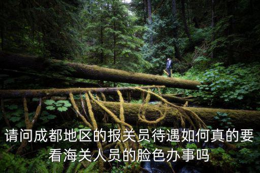 請問成都地區的報關員待遇如何真的要看海關人員的臉色辦事嗎