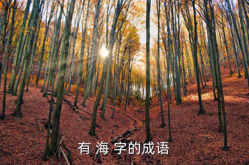 海的成語，關(guān)于海的成語