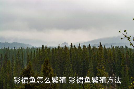 彩裙魚,彩裙魚適合混養(yǎng)或單獨(dú)飼養(yǎng)
