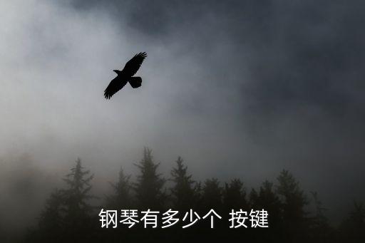  鋼琴有多少個 按鍵