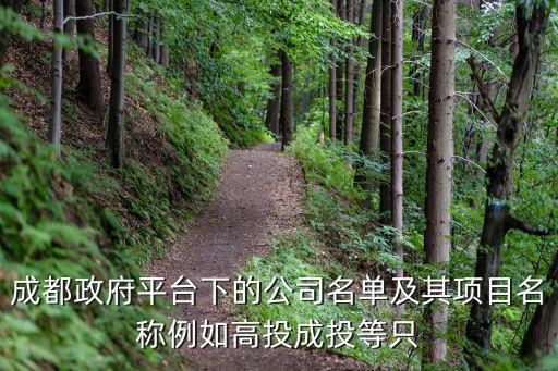 成都政府平臺下的公司名單及其項目名稱例如高投成投等只