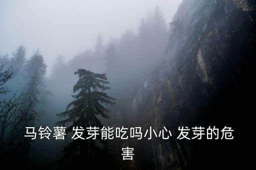  馬鈴薯 發(fā)芽能吃嗎小心 發(fā)芽的危害
