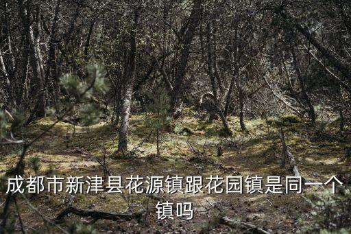 成都市新津縣花源鎮跟花園鎮是同一個鎮嗎