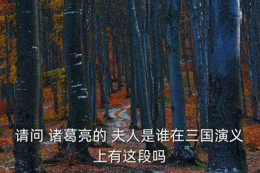諸葛亮夫人,黃月英之女，才子向諸葛亮求婚