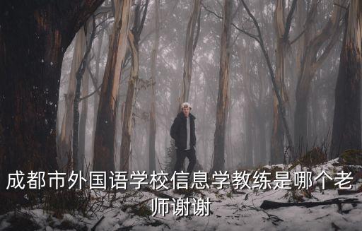 成都市外國語學校信息學教練是哪個老師謝謝