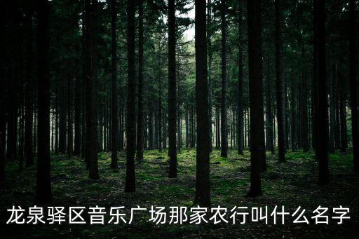 龍泉驛區音樂廣場那家農行叫什么名字