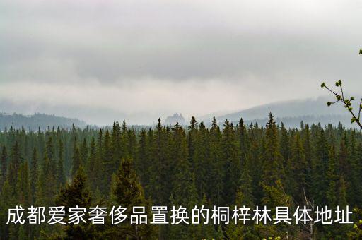 成都愛家奢侈品置換的桐梓林具體地址