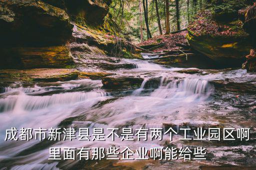 成都市新津縣是不是有兩個工業(yè)園區(qū)啊里面有那些企業(yè)啊能給些