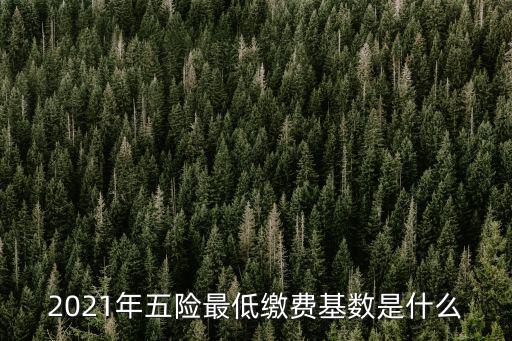 2021年五險(xiǎn)最低繳費(fèi)基數(shù)是什么