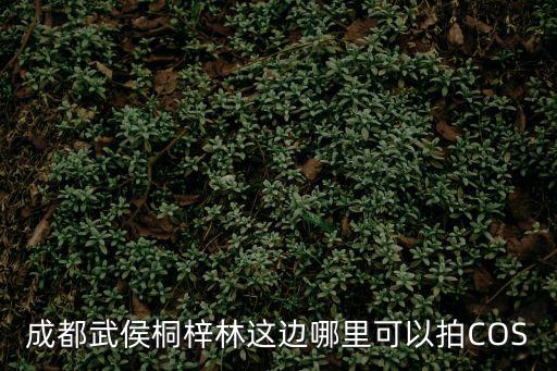 成都武侯桐梓林這邊哪里可以拍COS