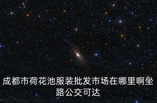 成都市荷花池服裝批發市場在哪里啊坐路公交可達