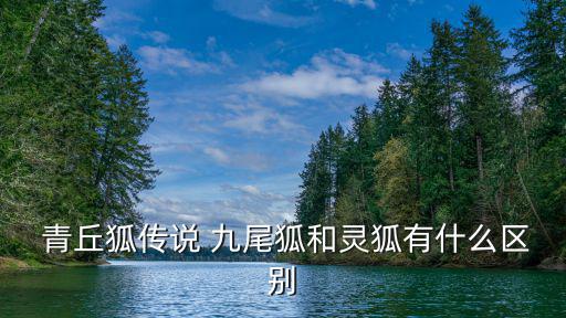  青丘狐傳說 九尾狐和靈狐有什么區別