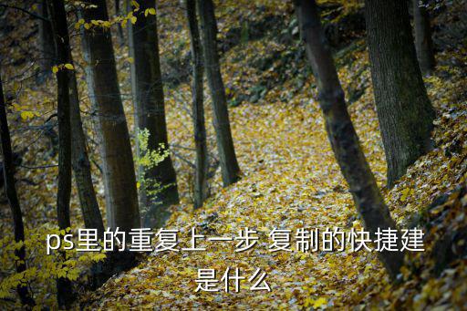  ps里的重復上一步 復制的快捷建是什么