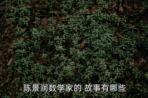  陳景潤數學家的 故事有哪些