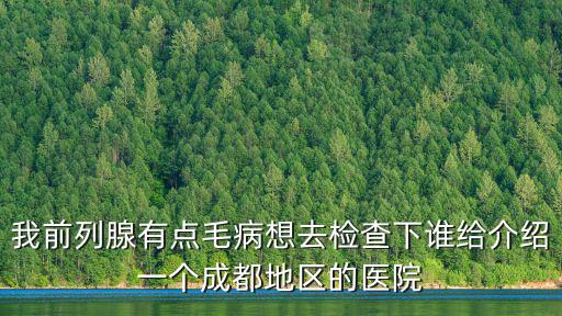 成都市君臣醫院，大概需要多少錢呢成都哪家醫院治療最好啊