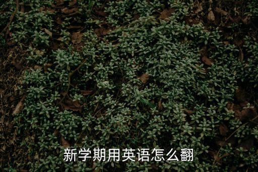 新學期用英語怎么翻