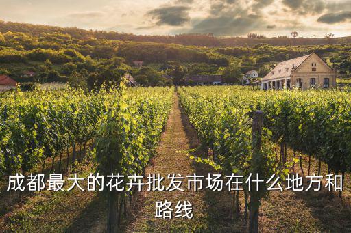 成都最大的花卉批發(fā)市場(chǎng)在什么地方和路線
