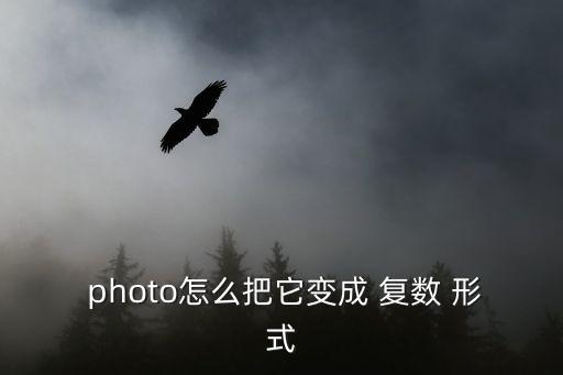 photo的復(fù)數(shù)形式