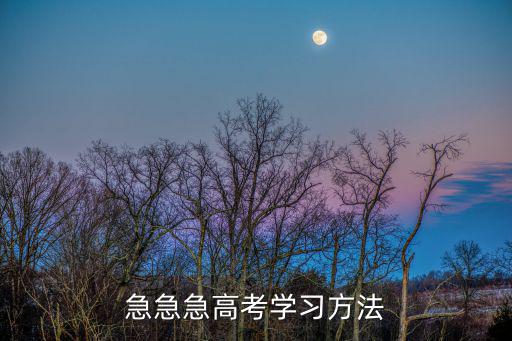 高考學習方法，高考學子有什么好的學習方法