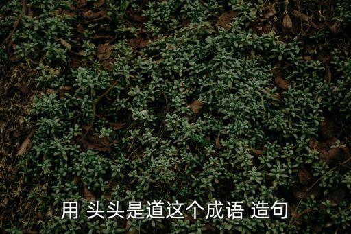 用 頭頭是道這個成語 造句