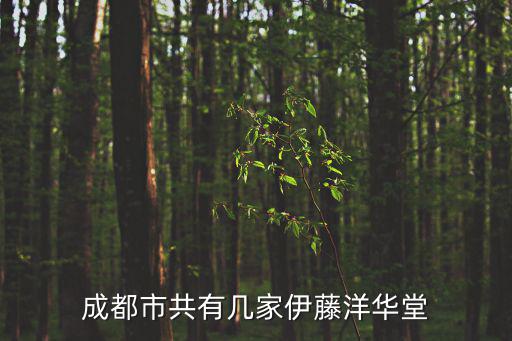 成都市共有幾家伊藤洋華堂