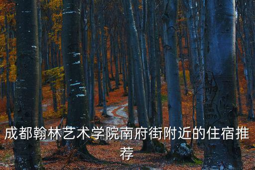 成都翰林藝術(shù)學(xué)院南府街附近的住宿推薦