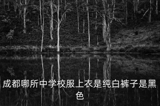 成都哪所中學校服上衣是純白褲子是黑色
