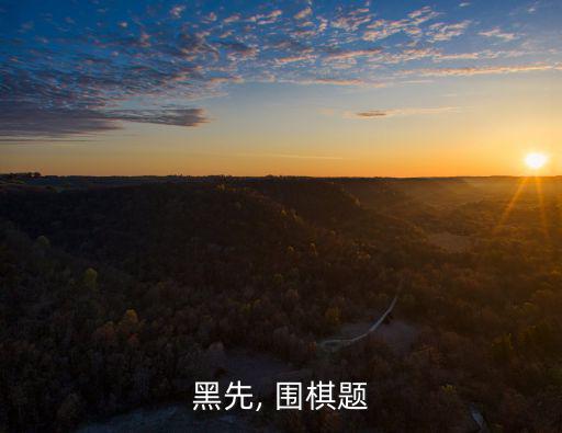 黑先, 圍棋題