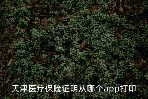 天津醫療保險證明從哪個app打印