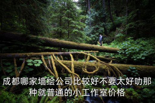 成都哪家墻繪公司比較好不要太好叻那種就普通的小工作室價格