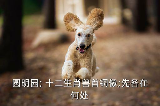 十二生肖龍首,圓明園十二生肖龍首銅像噴泉一小時兩次