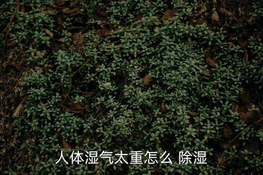 人體濕氣太重怎么 除濕
