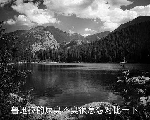 魯迅拉的屎臭不臭很急想對比一下