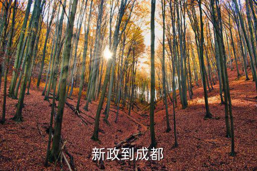 成都市復(fù)工新政，新政到成都
