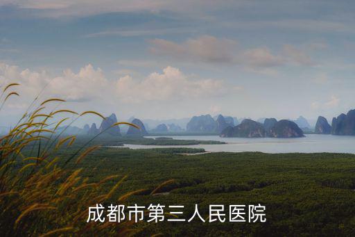 成都市第三人民醫(yī)院
