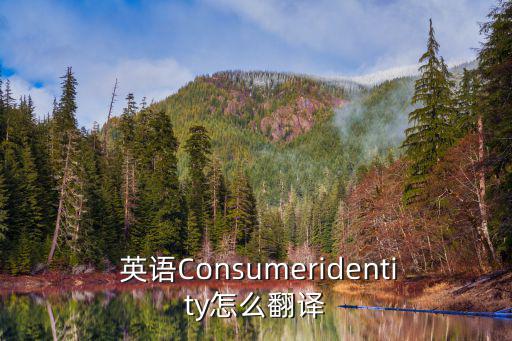  英語Consumeridentity怎么翻譯