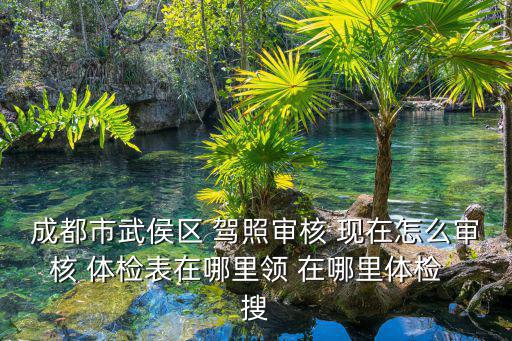 成都市街頭體檢排隊，成都市武侯區 駕照審核 現在怎么審核 體檢表在哪里領 在哪里體檢  搜